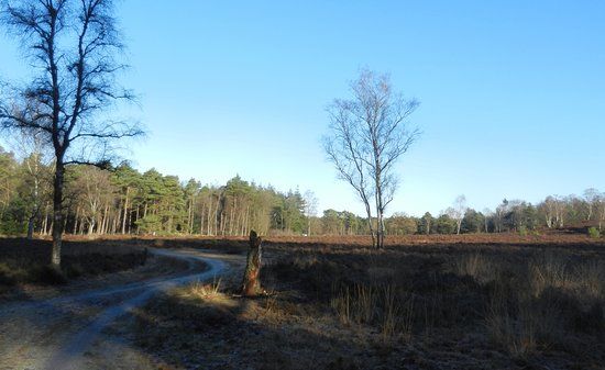 Renderklippen natuurgebied
