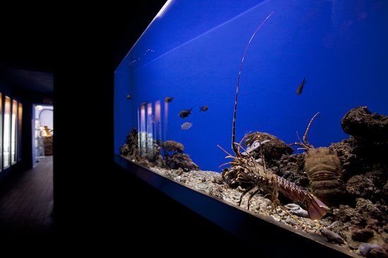 Argentario Aquarium