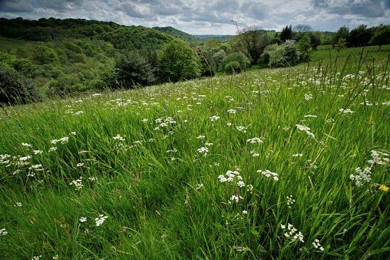 RSPB Coombes Valley Nature Reserve