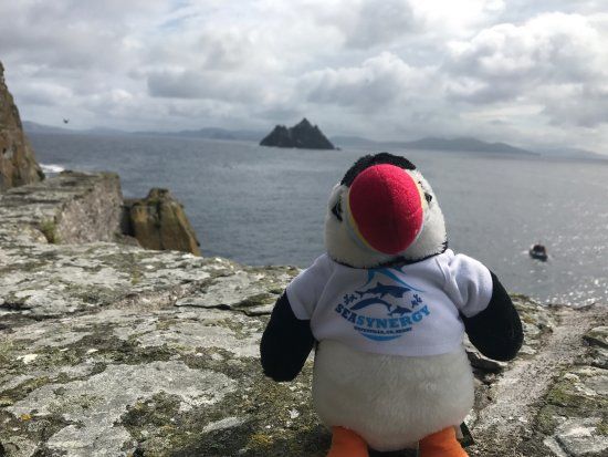 Sea Synergy Marine Awareness Centre