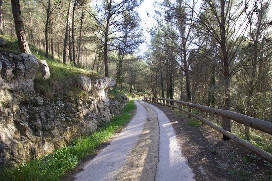 Parco forestale Calaforno