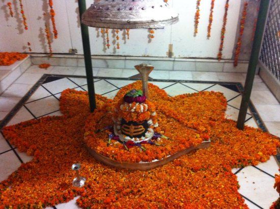 Shiv Mandir Nalas
