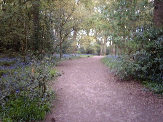 Clowes Wood Nature Reserve