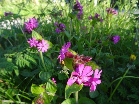 Nationaal Park Utrechtse Heuvelrug