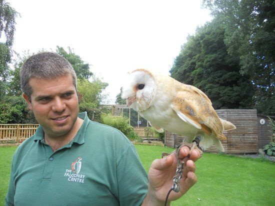 The Falconry Centre