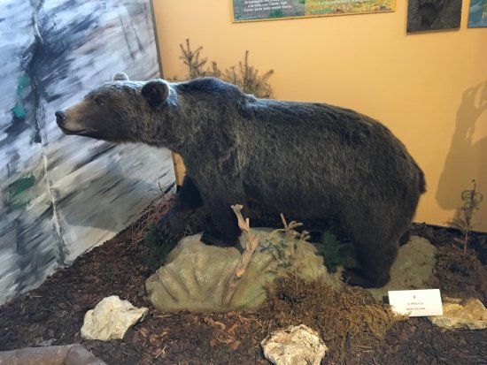 Centro Permanente della Flora e Fauna Alpina