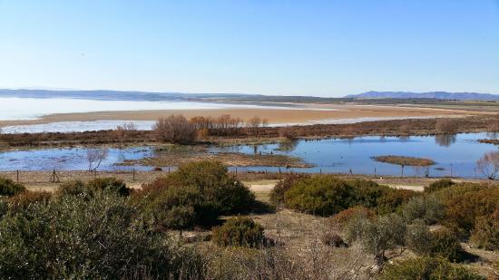 Laguna de Fuente Piedra