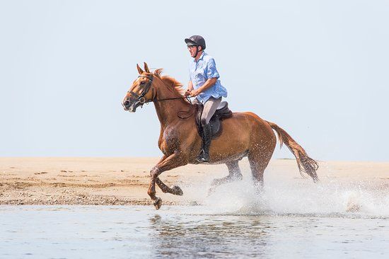 Cheston Farm Equestrian Centre