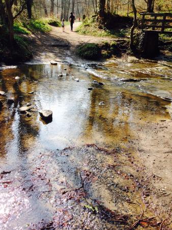 Plessey Woods Country Park