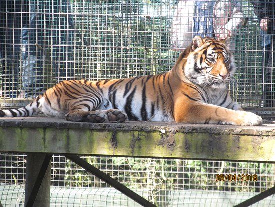 Thrigby Hall Wildlife Gardens