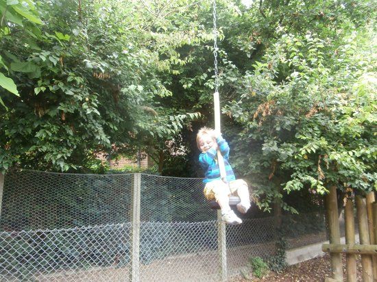 Pettitts Animal Adventure Park