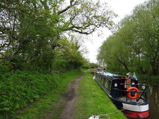 Trent and Mersey Canal
