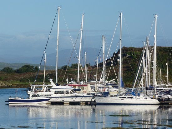 Craobh Marina