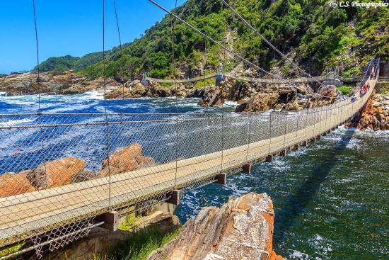Storms River Hangbrug