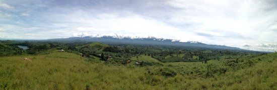 Tooro Botanical Gardens