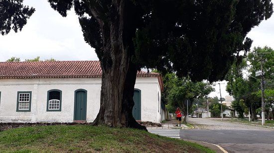 Cipestre Farroupilha