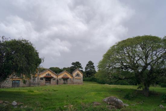 Matadouro São Geraldo