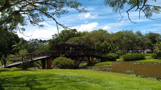 Timbo Botanical Garden