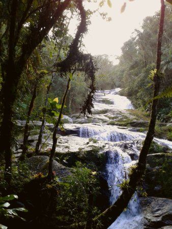 Cachoeira do Capivari