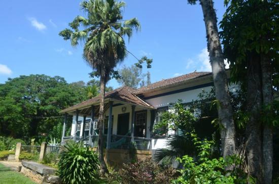 Fazenda dos Coqueiros