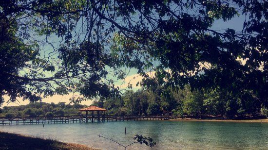 Parque Florestal de Sinop