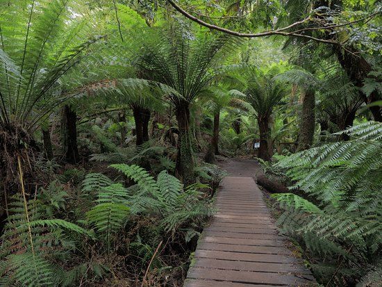 Melba Gully State Park