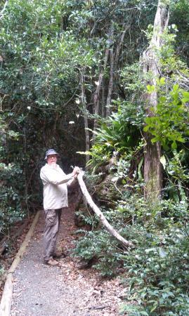 Sharon Gorge Nature Park