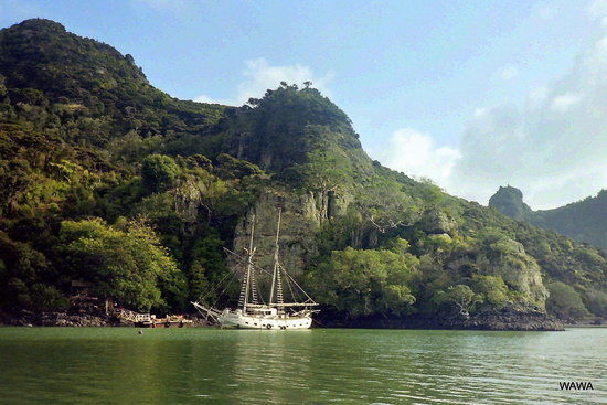 Whangaroa Harbour