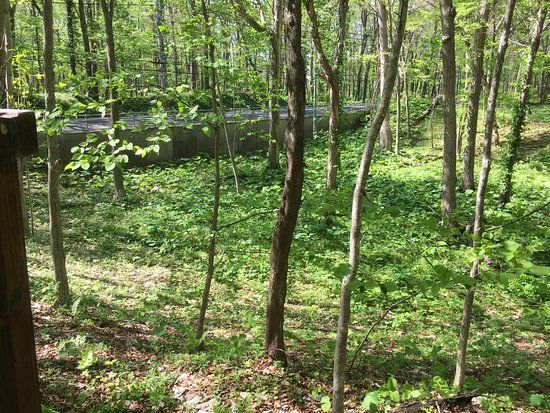 Kiusu Shuteibogun Ancient Tombs