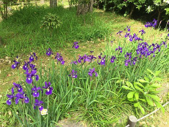 Jardín botánico Manyo