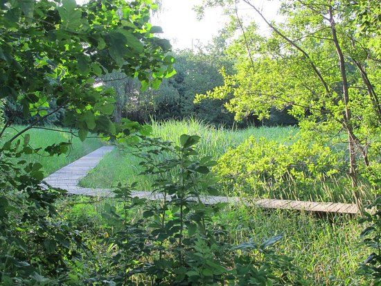 Yagawa Ryokuchi Park