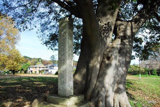 Ruins of Musashi Kokubunji Temple
