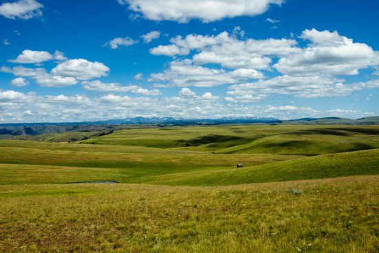 Zumwalt Prairie Preserve