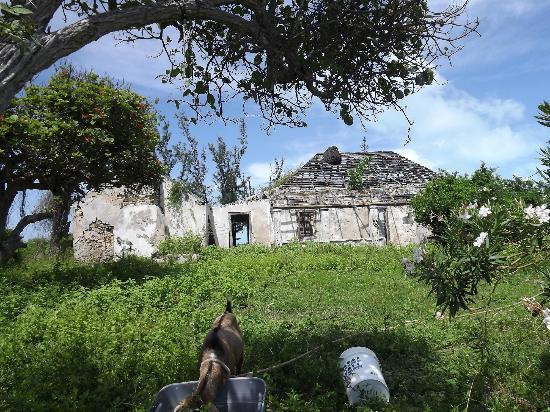 Bowe Family Plantation