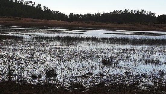 Laguna de Talayuelas