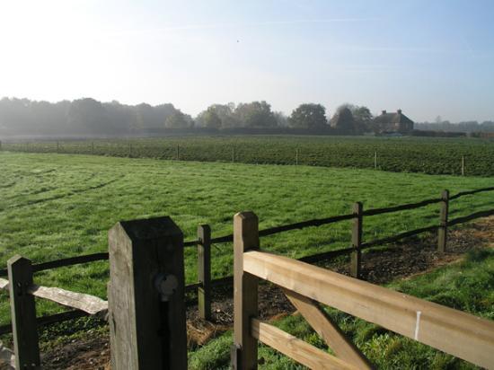 Garsons Garden Centre