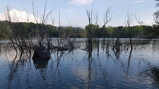 Oasi Vivinatura Lagosele