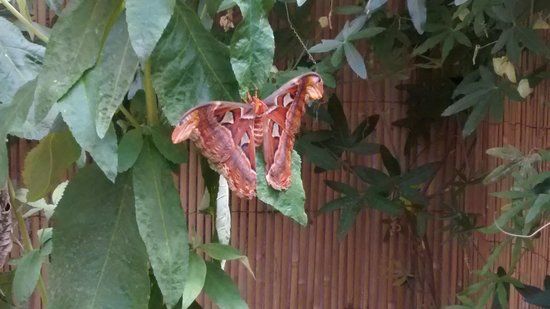 Musée et parc animalier Insectopia