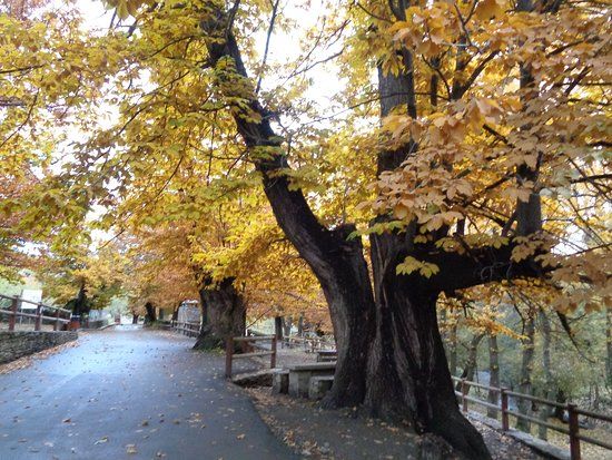 Área recreativa "La Rosandrá"