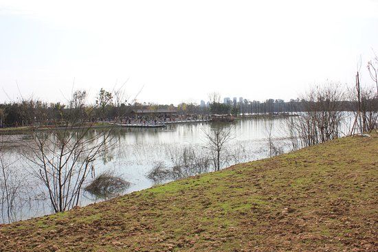 Qinglong Lake Park