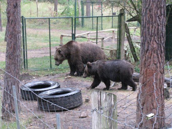 Wildpark Johannismühle