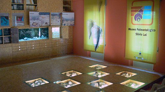 Museo paleontologico "Silvio Lai"