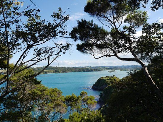 Akeake Historic Reserve Track