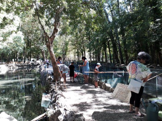 Pisciculture de Signes