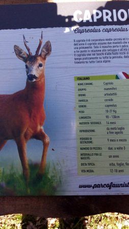 Parco Faunistico Chevrere Mont Avic