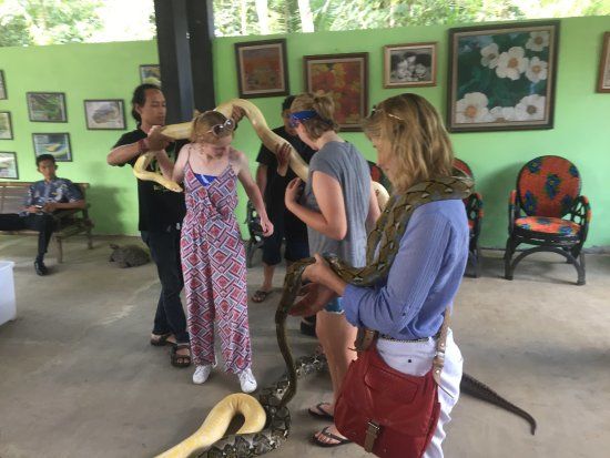 Reptile Rescue Borobudur