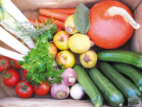 Cueillette de l'Aragnon