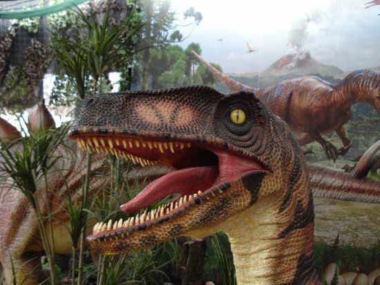 Woodthorpe Garden Centre