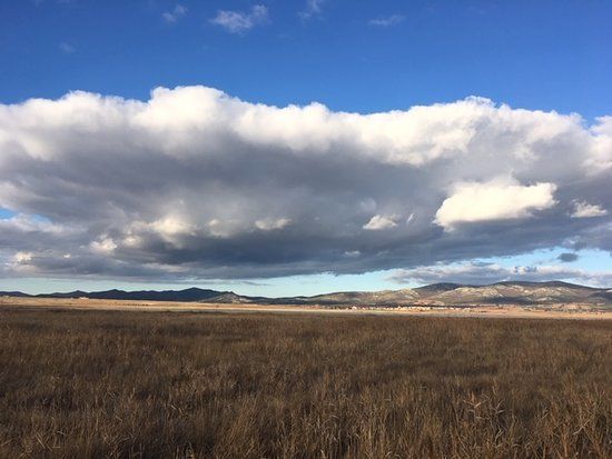 Laguna de Gallocanta