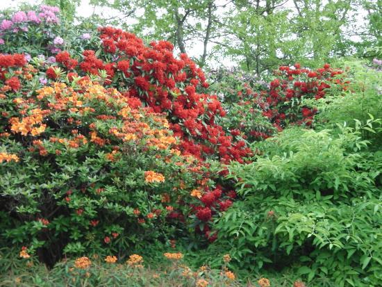 Les Jardins des Renaudies